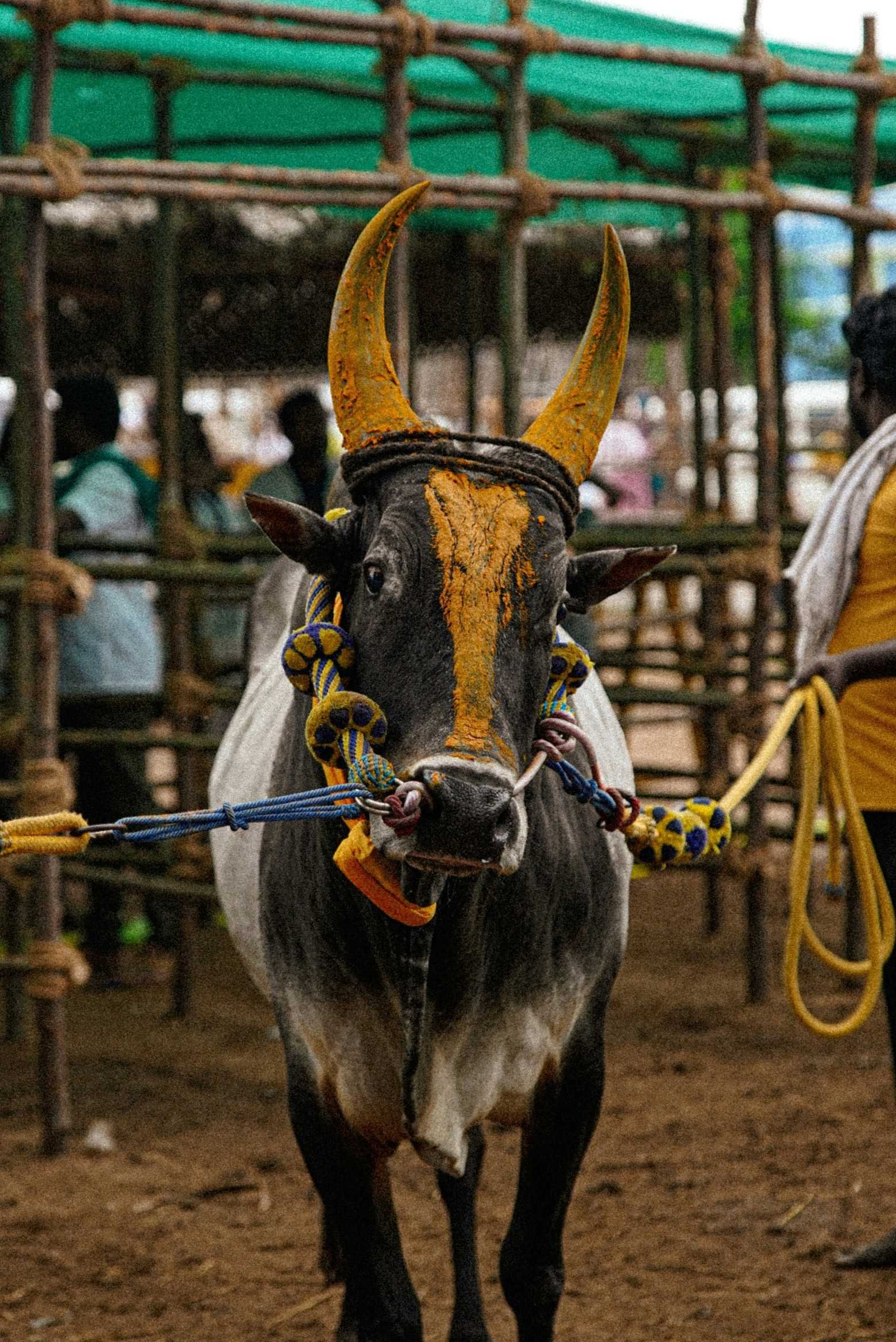 Madurai Drop Taxi